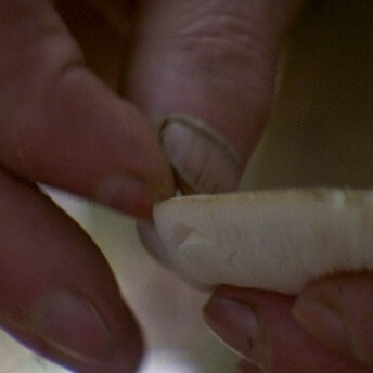 Still from The Vanquishing of the Witch Baba Yaga. Close-up of hands picking at a small white object. Color photograph.