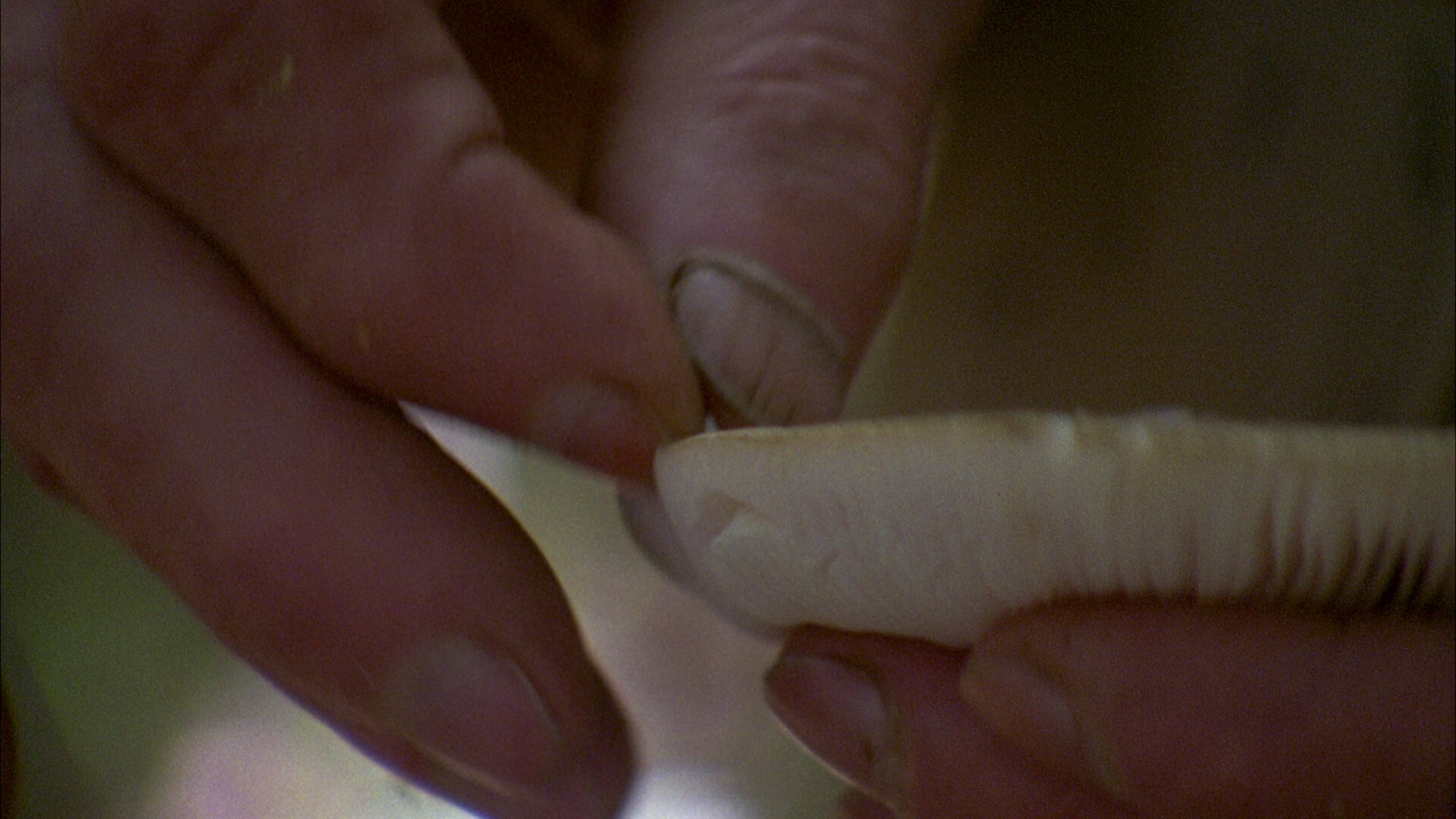 Still from The Vanquishing of the Witch Baba Yaga. Close-up of hands picking at a small white object. Color photograph.