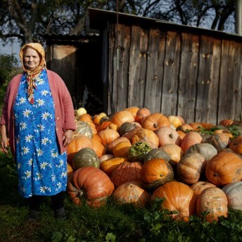 A woman wearing a blue dress, pink cardigan, and orange head scarf stands next to a pile of pumpkins. A wooden shed sits in the background.