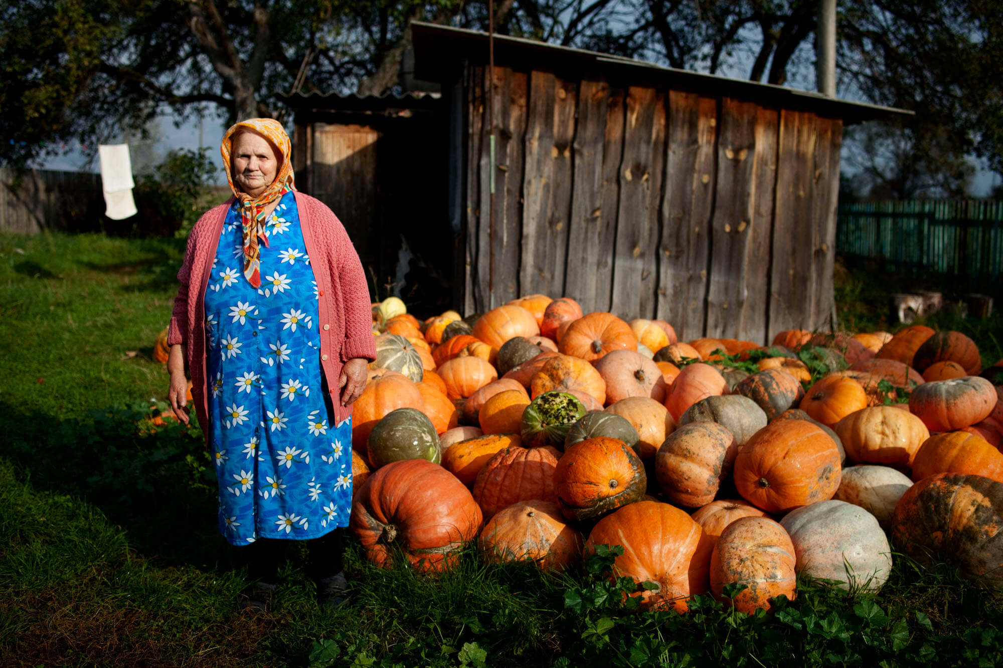 A woman wearing a blue dress, pink cardigan, and orange head scarf stands next to a pile of pumpkins. A wooden shed sits in the background.