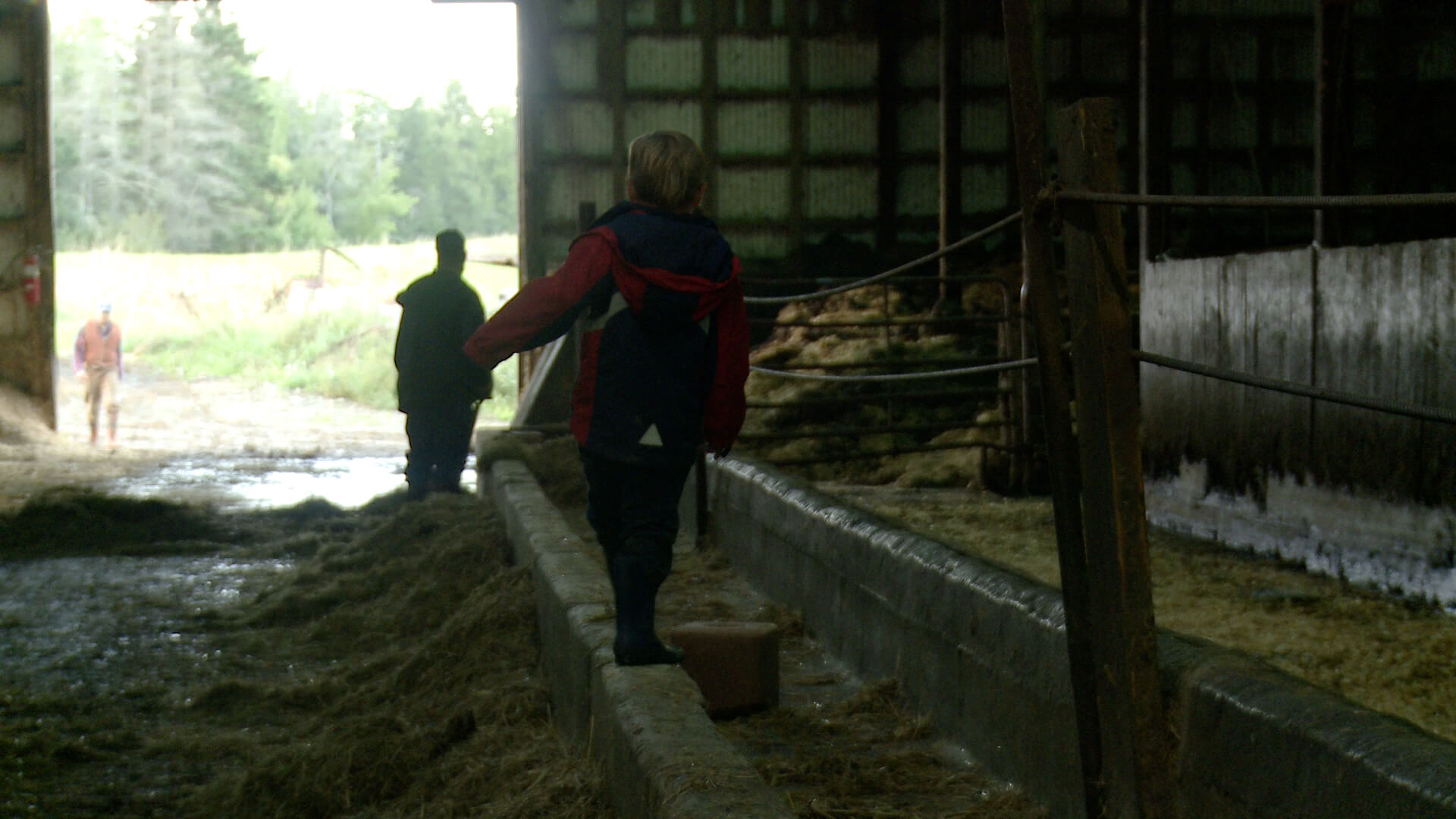 Still from Betting the Farm. A young child walks inside of a barn.