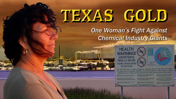 Graphic of Texas Gold. In the foreground there is Diane Wilson. She looks off into the distance. In the background there is a sign that says "Health warning!" in English, Spanish and another language. The sign also has descriptions in small letters about this warning and an illustration. Behind the sign there is a landscape of a polluted industrial city.
