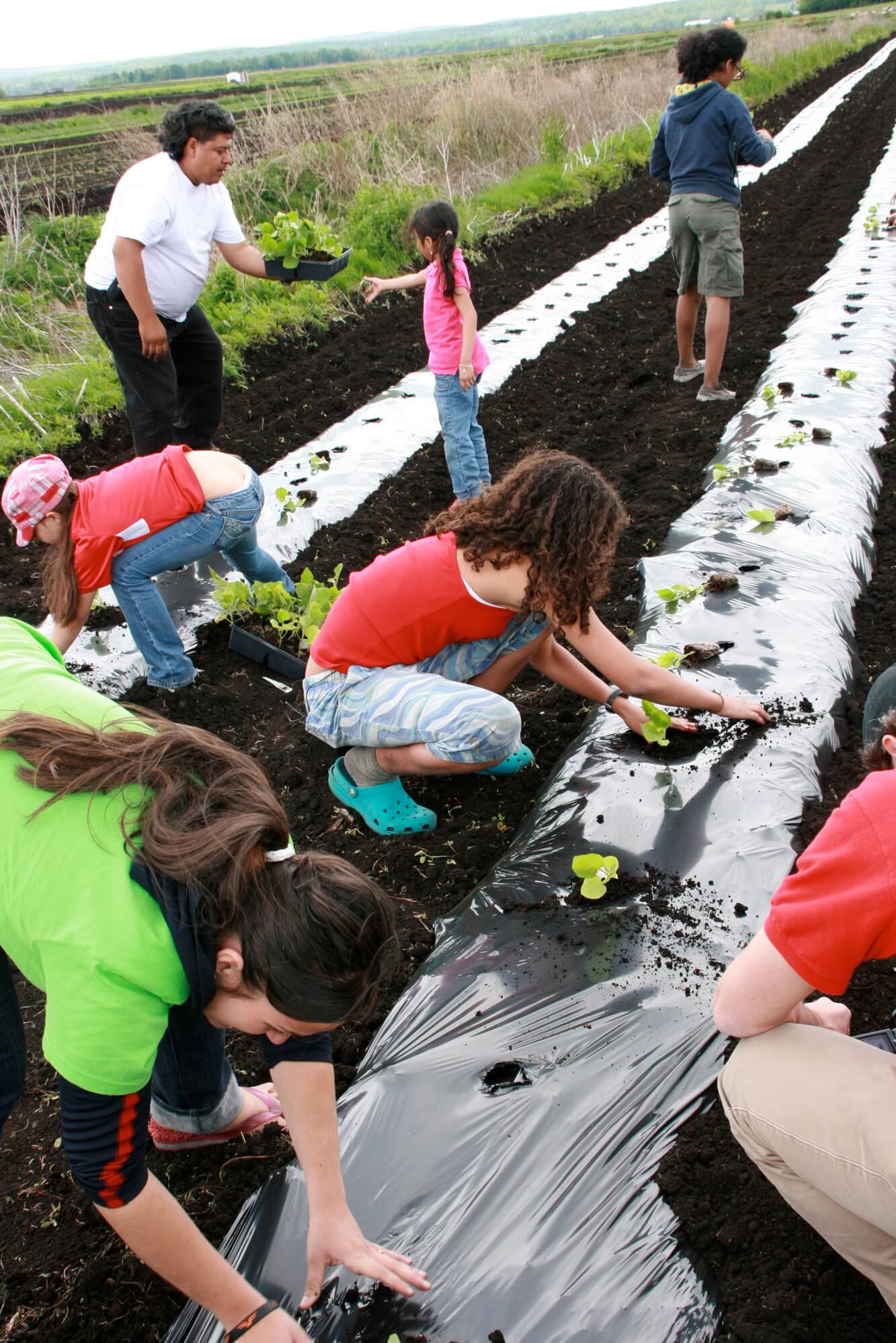 A group of kids in colorful clothes plant crops. Color photograph.