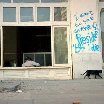 Still from Words of Witness. A person sits inside a building with open windows and a black cat walks under blue graffiti that reads: I want to see another President B4 I die.