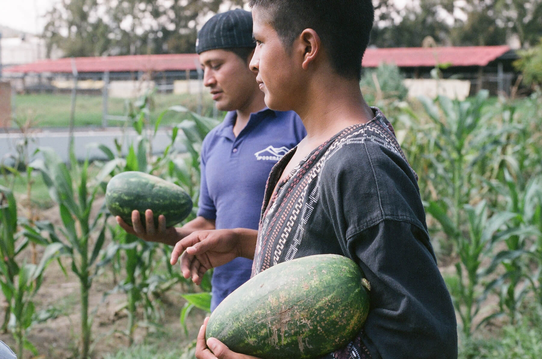 Still from Visitor's Day. Two young men stand in a field holding melons.