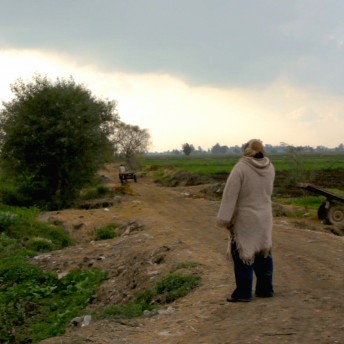 Still from The Vote. A man is standing in the middle of a field. There is a tree in the background.