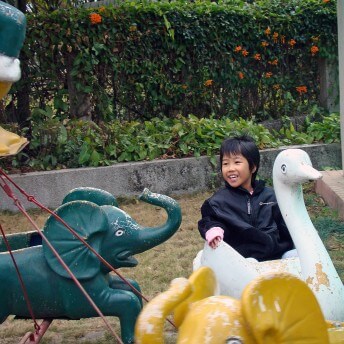 A young child sits in a white swan on a merry-go-round. He has short black hair, is smiling, and wears a black jacket. A bush with orange flowers and green leaves is behind him, and a green elephant and yellow elephant surround him.
