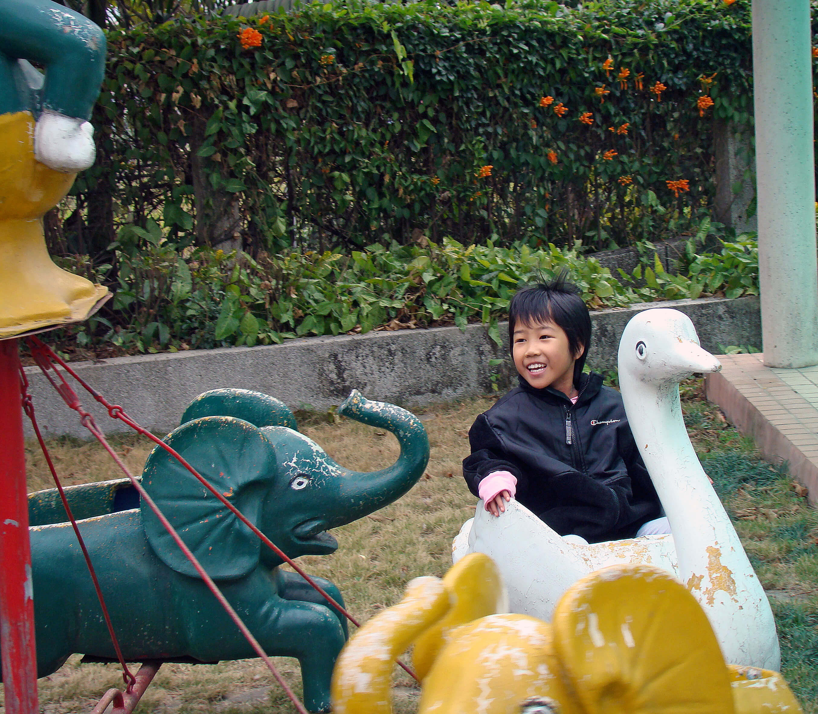 A young child sits in a white swan on a merry-go-round. He has short black hair, is smiling, and wears a black jacket. A bush with orange flowers and green leaves is behind him, and a green elephant and yellow elephant surround him.