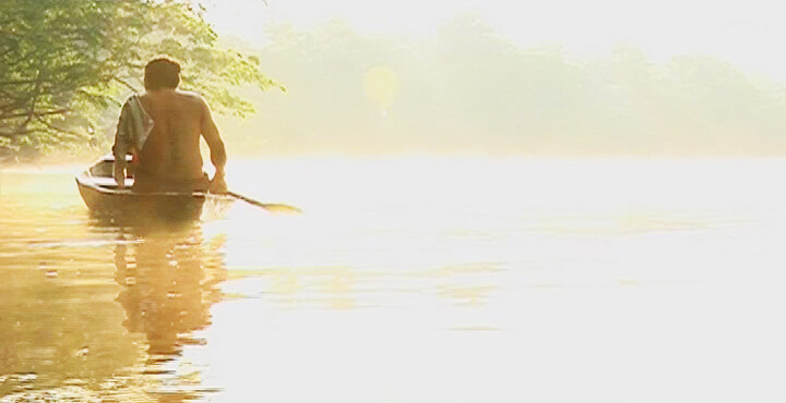 A person rowing in a sunlit body of water. Color photograph.
