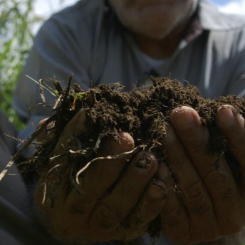 A Still from The Age of Water. A person cups a clump of soil in both hands.