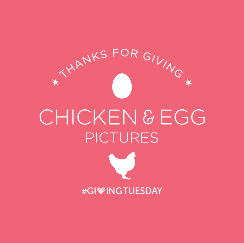 #GivingTuesday at Chicken & Egg Pictures