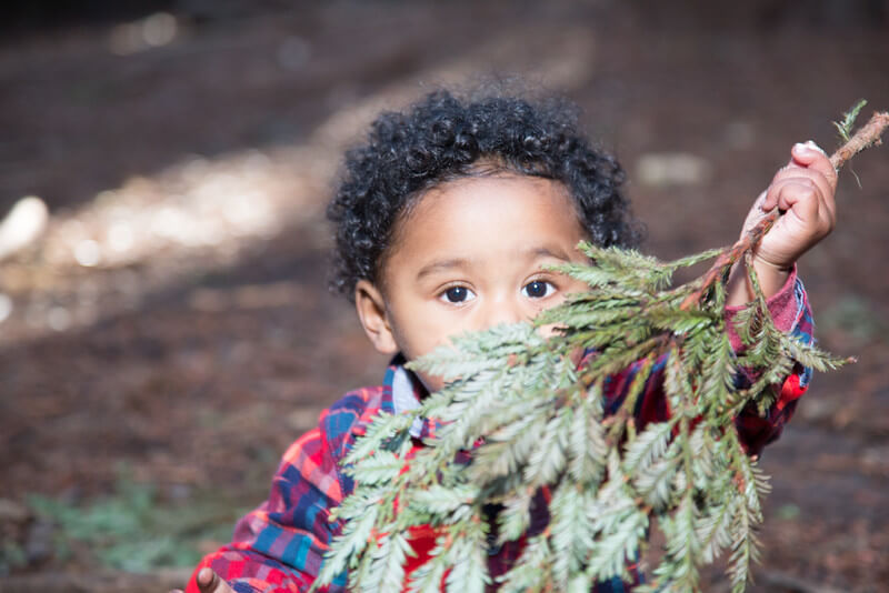 Still from The F Word: A Foster-to-Adopt Story. A curly-haired toddler in a blue and red plaid shirt is holding up a small pine tree branch in front of his face, obscuring his mouth. He is looking directly into the camera.