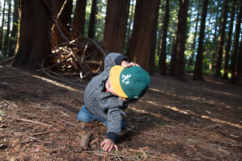 Still from The F Word: A Foster-to-Adopt Story. A toddler dressed in jeans, grey jacket, and green-and-yellow baseball hat is kneeling on the forest floor, with one hand as support against the ground, the other hand against his head. The background is a light-speckled old-growth forest and directly behind him are a pile of branches.