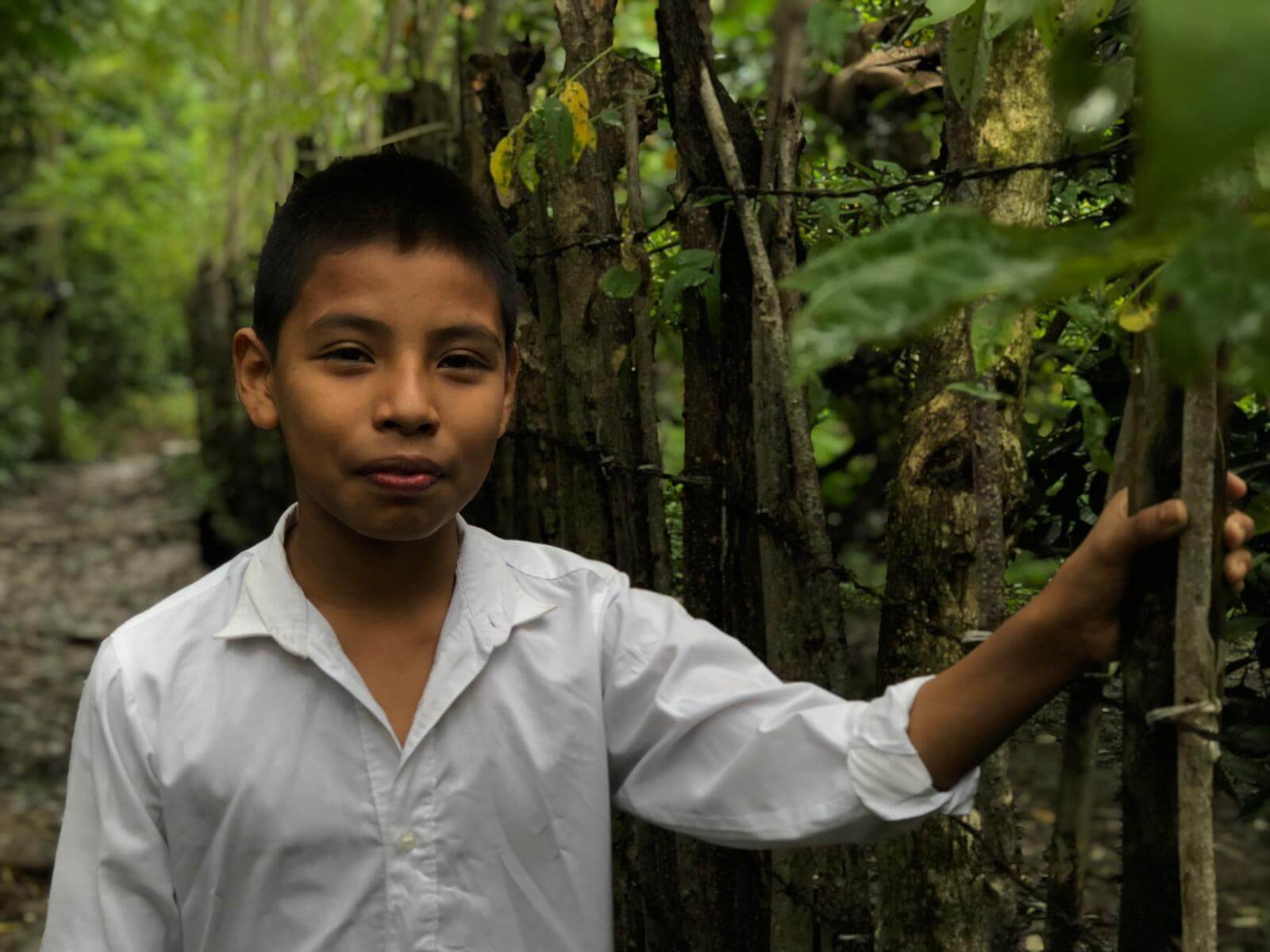 A young boy wearing a white shirt puts his hand on a fence. He is surrounded by nature.