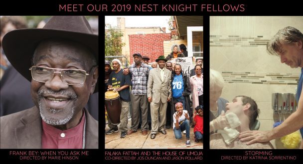 Announcing our 2019 Nest Knight Fellows! - Chicken & Egg Pictures