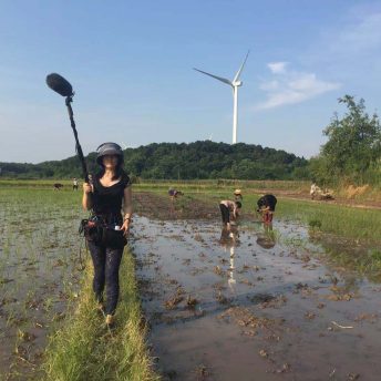 Production still from Hidden Letters. A woman is walking on an elevated grassy row in a rice field. She is wearing headphones and a utility bag around her waist, and is carrying a boom microphone. Behind her, there are several women bent over working in the rice field, and two white windmills in the distance.