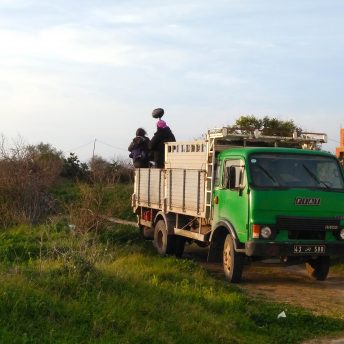 Production still from Machtat. Two people stand in the back of a green truck that is in an overgrown field. Blue skies and a big brick building stand in the background.