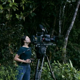A woman in a black t-shirt and blue pants looking upwards behind a camera on a tripod in a forest