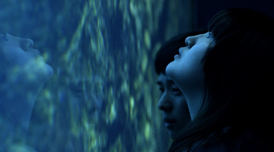 Still from All of Our Heartbeats Are Connected Through Exploding Stars. Two persons looking at a water tank, their reflection on the glass in visible.