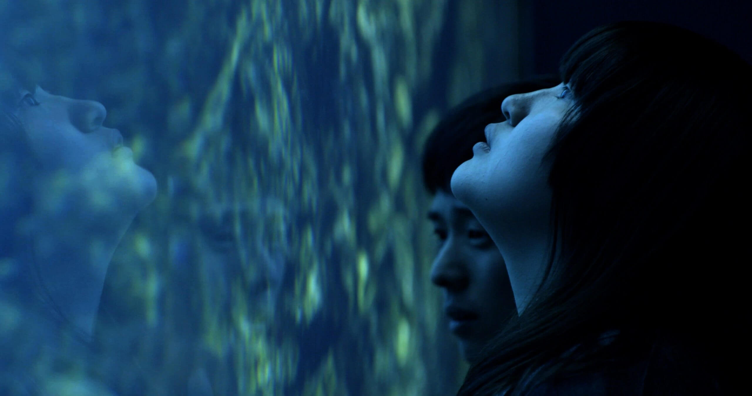 Still from All of Our Heartbeats Are Connected Through Exploding Stars. Two persons looking at a water tank, their reflection on the glass in visible.