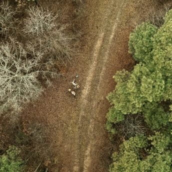 Still from One Shot One Kill. Birds eye view of three men standing and kneeling near a deer lying on the ground.