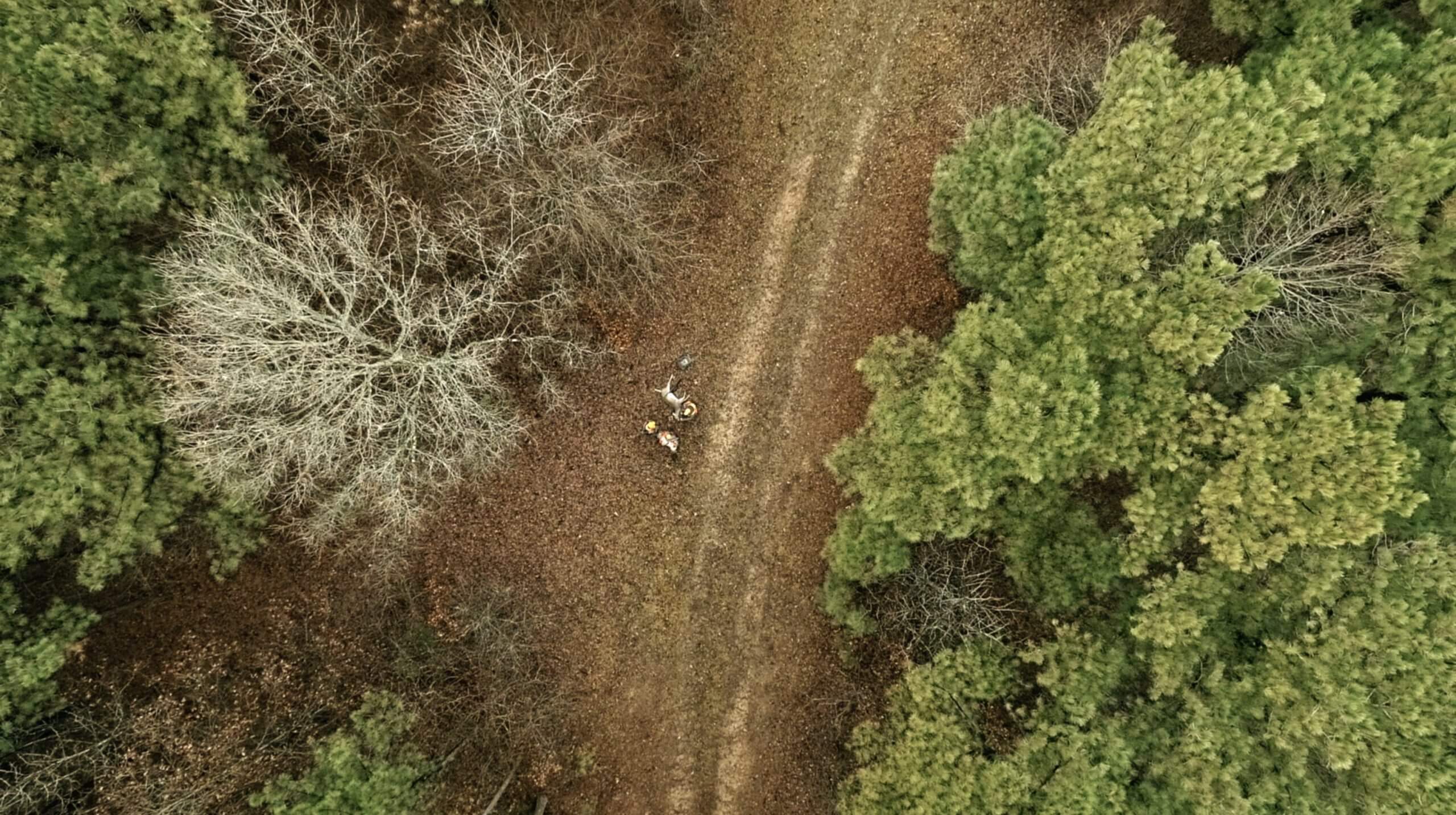 Still from One Shot One Kill. Birds eye view of three men standing and kneeling near a deer lying on the ground.