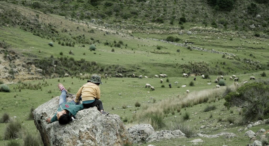 Still from El Eco. Two young kids sit on a large rock jutting out from the side of a grassy hill. They are facing away from the camera. In front of them is a grassy valley with sheep grazing in it.