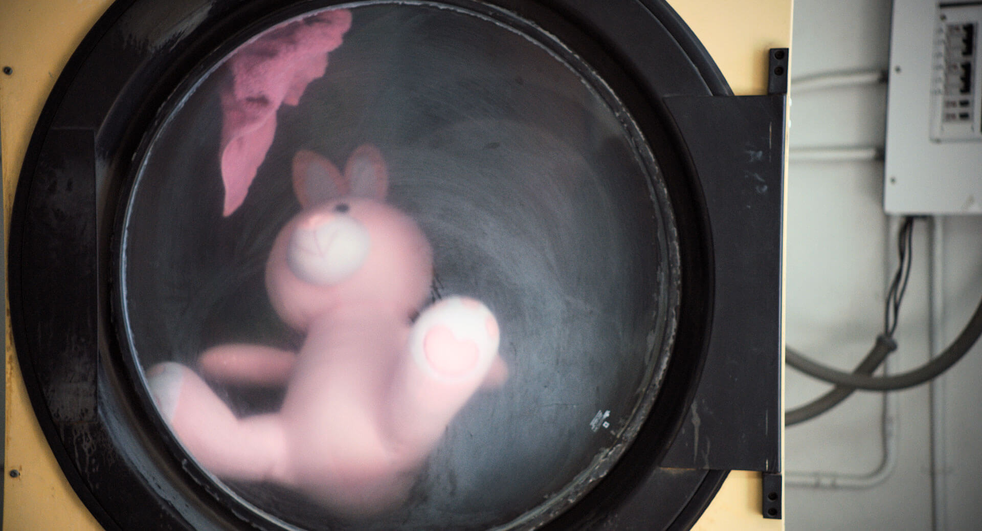 Close-up of a stuffed animal inside of a washing machine