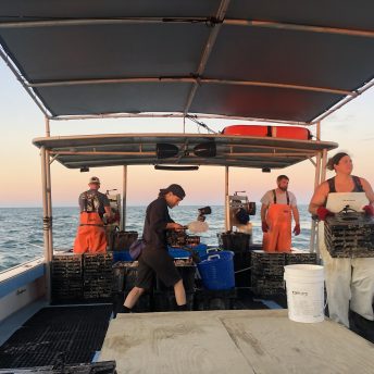 Jesse films a three person crew gathering stone crab traps on a boat off the coast of Florida