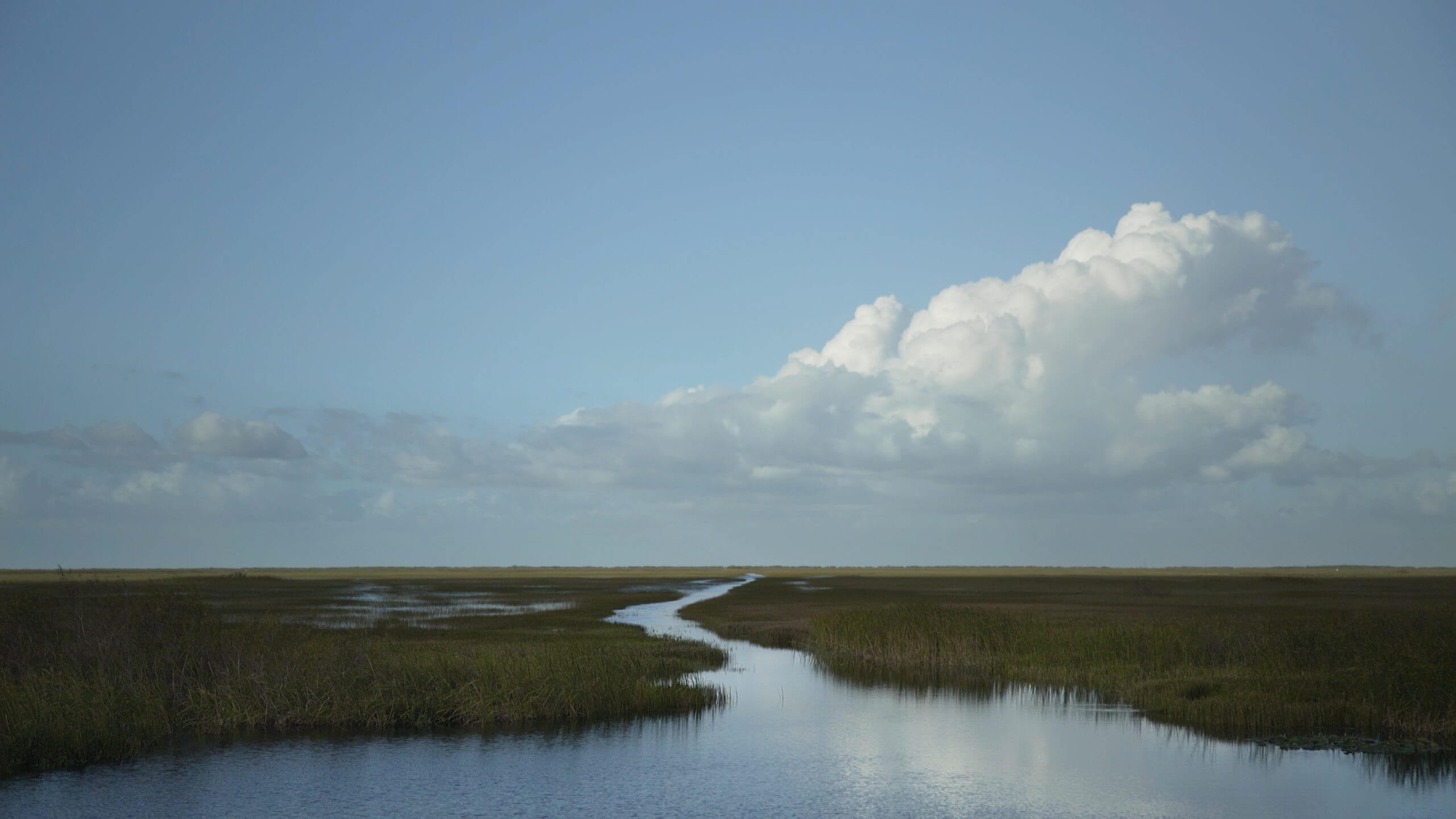 An expanse of water and sawgrass beneath a blue sky and large clouds