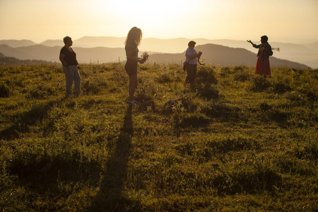 Four women stand on a mountain at sunrise gathering flowers