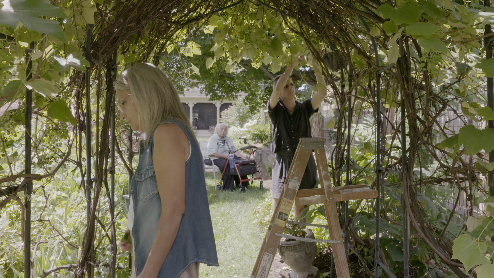 A mother and daughter stand under opposite ends of a grape arbor together, harvesting grape leaves. A grandmother is seen sitting in the background with a walker in front of her. Each woman appears to be separately lost in thought.