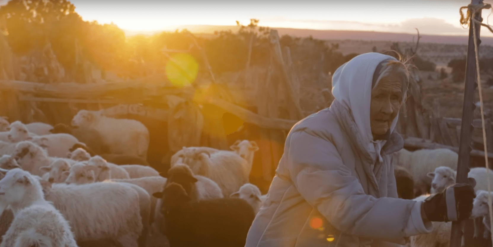 An old woman wearing a jacket and a hoodie is grabbing a fence, behind her there are goats in an open space, the flare of the sun reflects on the camera