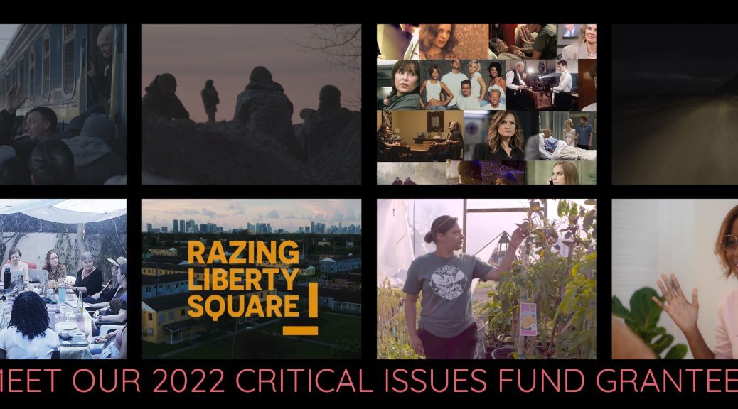 Graphic with eight stills from films of the Critical Issues Fund