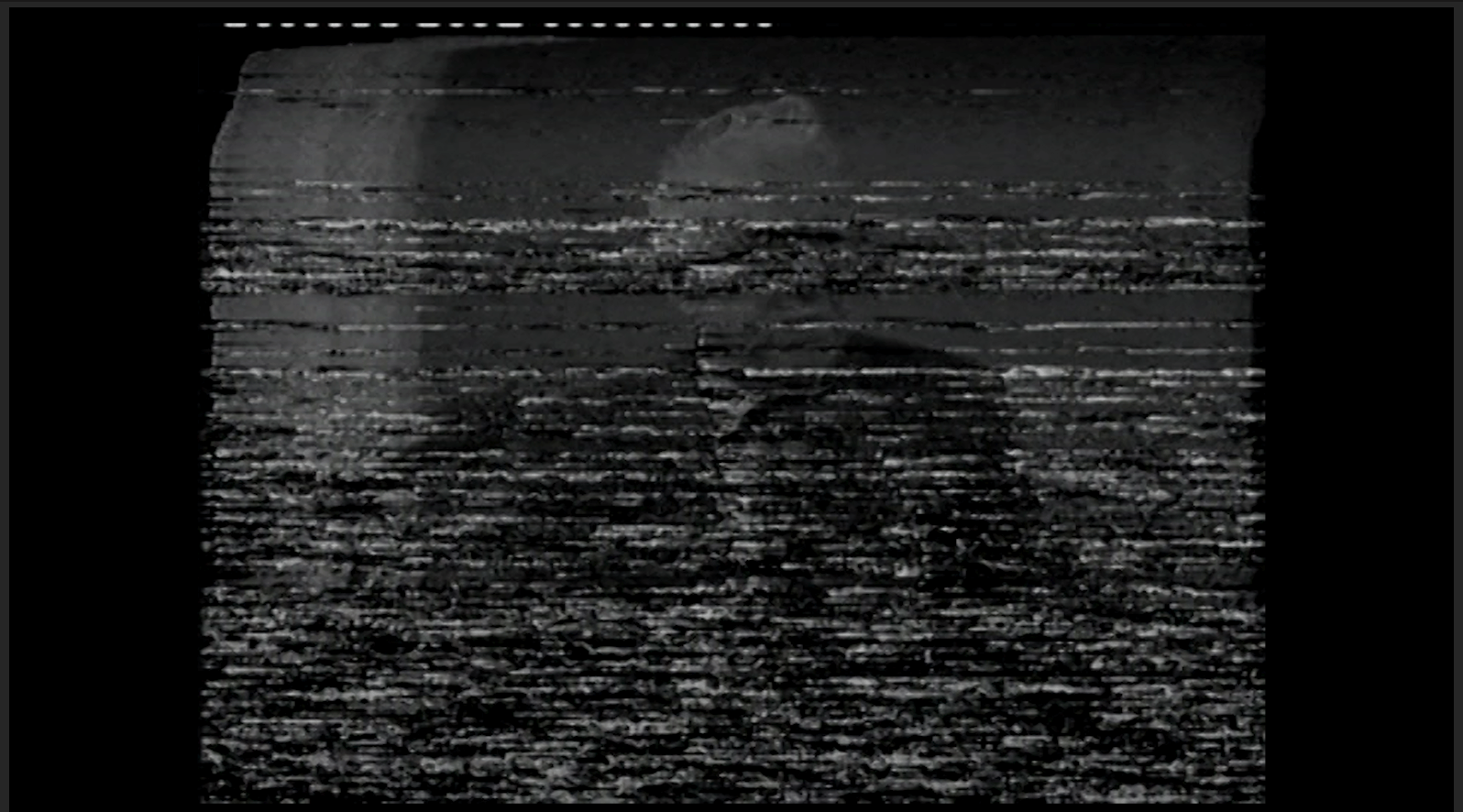 Heavily damaged VHS archive image of a man with white hair and dark suite. The face is unrecognizable because of the white noise caused by the damage.