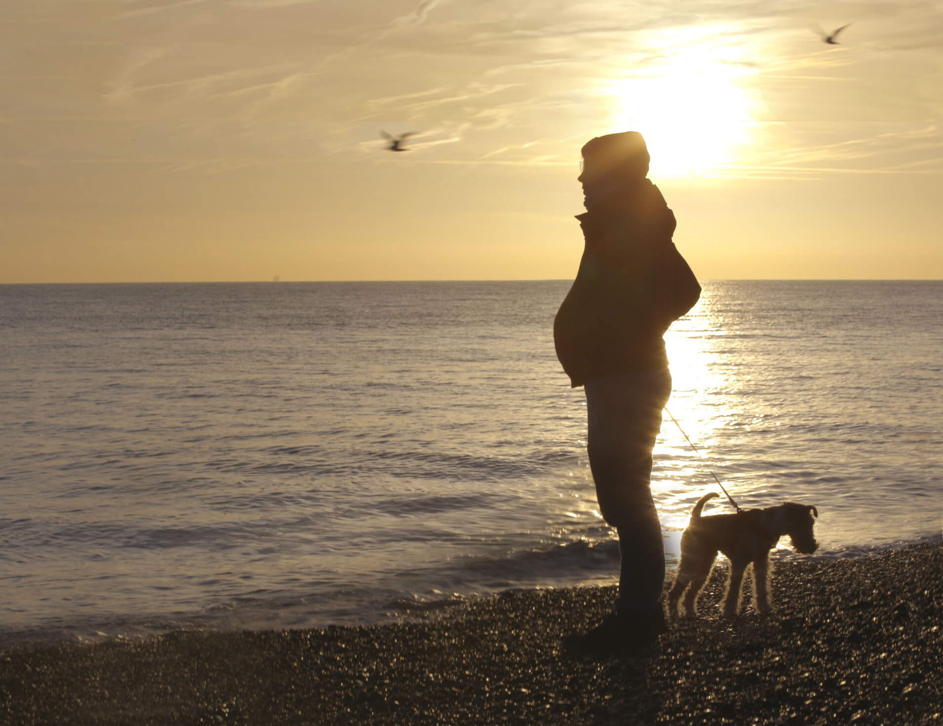 Still from Seahorse: The Dad Who Gave Birth. Freddy is standing on the seashore with his fox terrier dog. He is 9 months pregnant and is silhouetted by the sun.