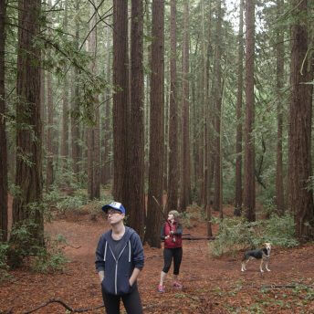 Still from The F Word. A nonbinary individual with short auburn hair wearing a blue and white hat and a blue sweatshirt stands in the woods looking aimlessly at the trees. Behind them stands their spouse, a woman with long brown hair wearing a knitted green cap and a red puffer vest, along with their dog.