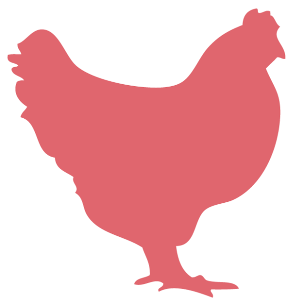 Graphic of a chicken in pink