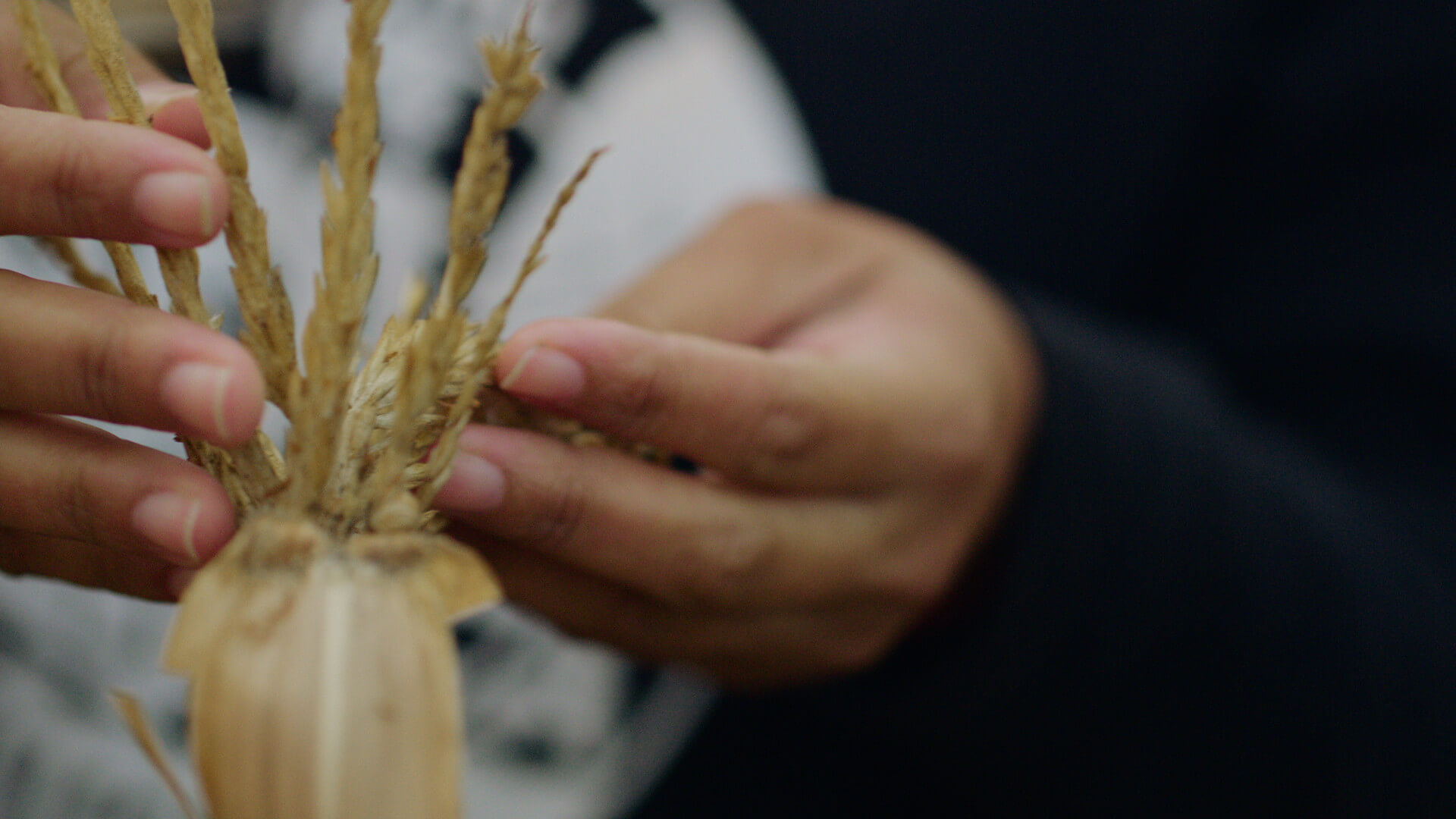 Still from Sol in the Garden. A woman's hand is touching a dried corn husk.