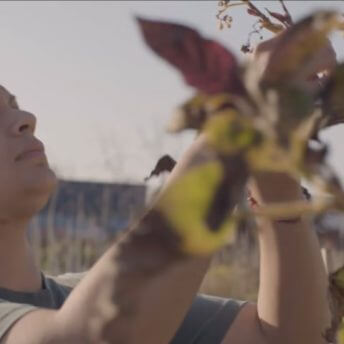 Still from Sol in the Garden. A woman is standing in profile to the camera. She is looking up and touching leaves