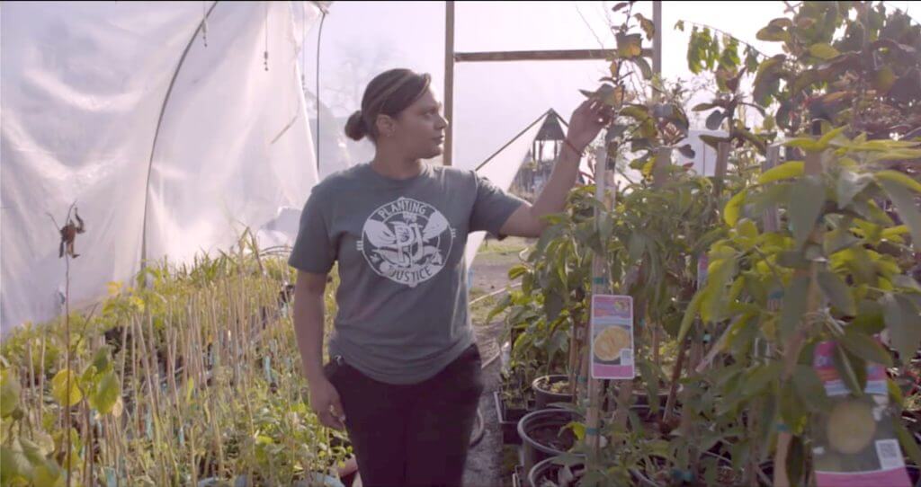 Still from Sol in the Garden. A woman in profile to the camera is inside a greenhouse, touching the leaves of a guava tree.