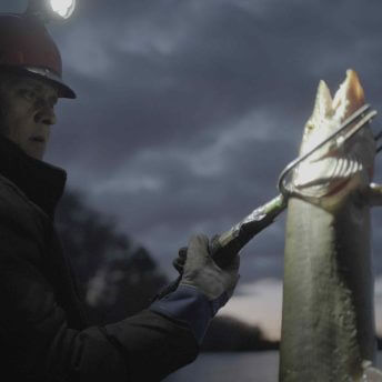 Ojibwe spearfisher, Greg Johnson, harvesting fish using a traditional method at night on a lake near his reservation.