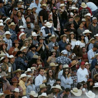 A large crowd in the jaripeo stands