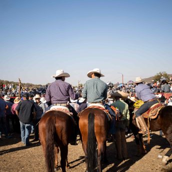 The backs of two men on horses in the jaripeo arena